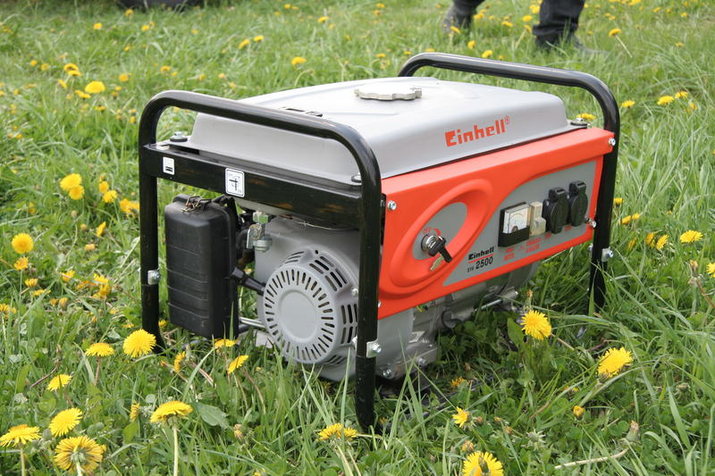 Saftquelle an Dotterblumen