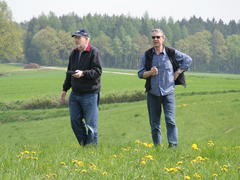 da? nein dort, wo, da, echt?