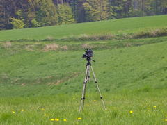 Automovie, wo ist der Kameramann?