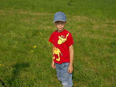 Das wird doch nichts